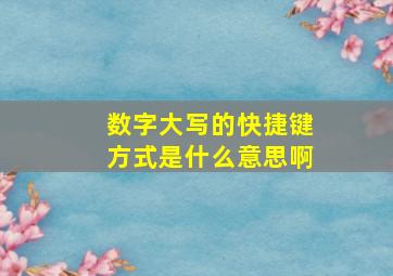 数字大写的快捷键方式是什么意思啊