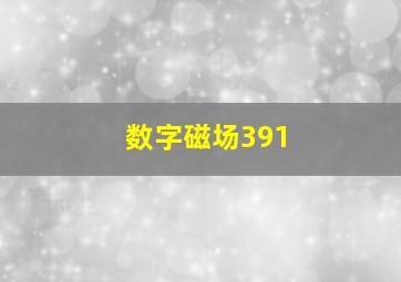 数字磁场391