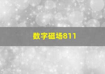 数字磁场811