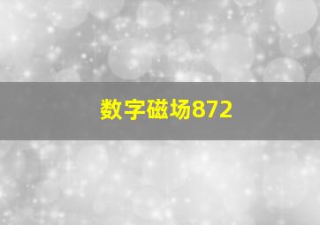 数字磁场872