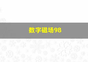 数字磁场98