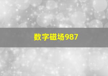 数字磁场987