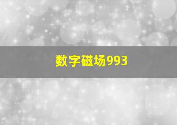 数字磁场993