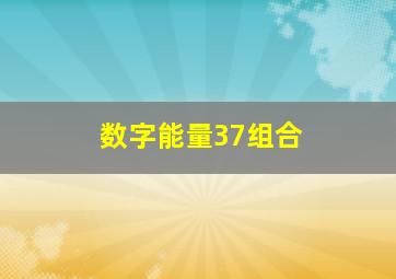 数字能量37组合