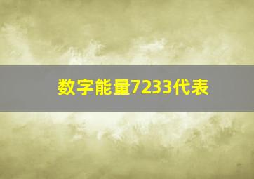 数字能量7233代表