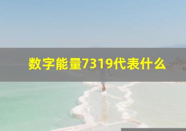 数字能量7319代表什么