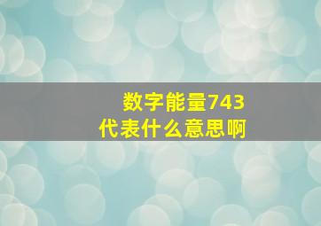 数字能量743代表什么意思啊