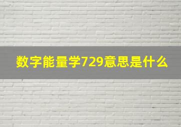 数字能量学729意思是什么