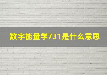 数字能量学731是什么意思