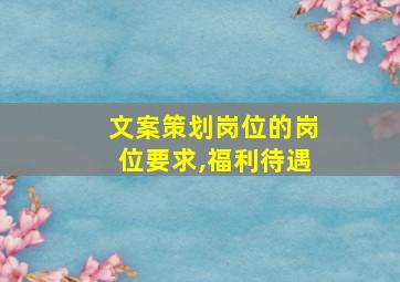 文案策划岗位的岗位要求,福利待遇