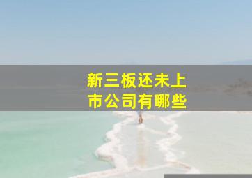 新三板还未上市公司有哪些