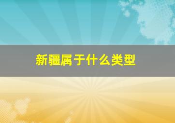 新疆属于什么类型