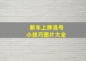 新车上牌选号小技巧图片大全