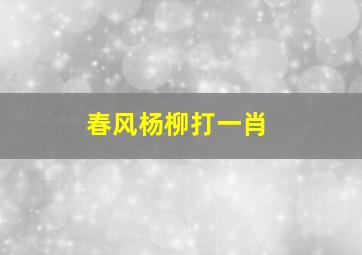 春风杨柳打一肖