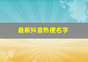 最新抖音热梗名字