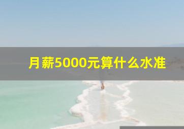 月薪5000元算什么水准