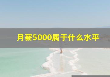 月薪5000属于什么水平