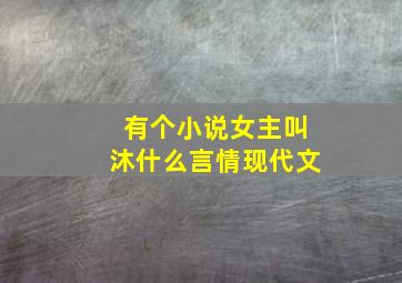 有个小说女主叫沐什么言情现代文