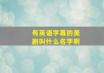 有英语字幕的美剧叫什么名字啊