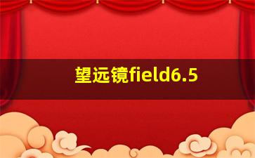 望远镜field6.5