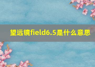 望远镜field6.5是什么意思