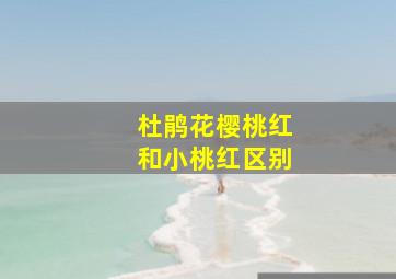 杜鹃花樱桃红和小桃红区别