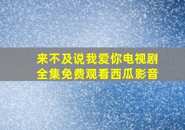 来不及说我爱你电视剧全集免费观看西瓜影音