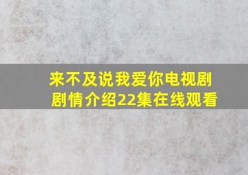 来不及说我爱你电视剧剧情介绍22集在线观看