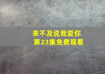 来不及说我爱你第23集免费观看