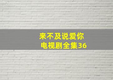 来不及说爱你电视剧全集36