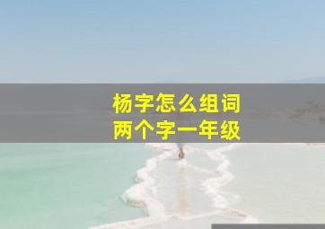 杨字怎么组词两个字一年级