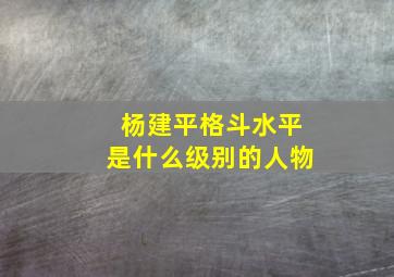 杨建平格斗水平是什么级别的人物