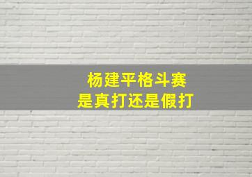 杨建平格斗赛是真打还是假打