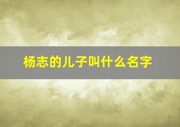 杨志的儿子叫什么名字