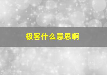 极客什么意思啊