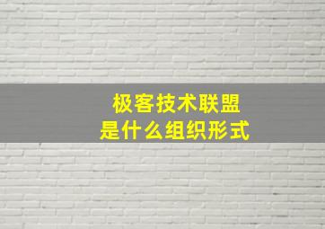 极客技术联盟是什么组织形式