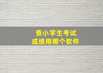 查小学生考试成绩用哪个软件