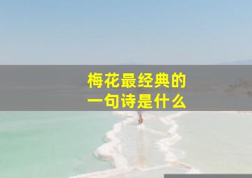 梅花最经典的一句诗是什么