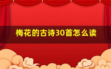 梅花的古诗30首怎么读