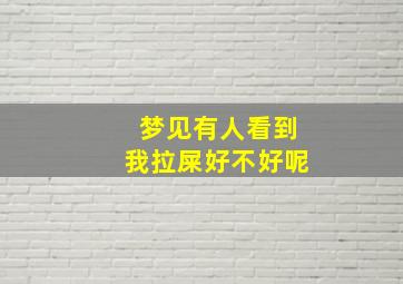 梦见有人看到我拉屎好不好呢