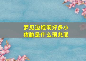 梦见边炮响好多小猪跑是什么预兆呢