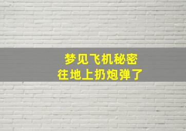 梦见飞机秘密往地上扔炮弹了