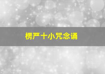 楞严十小咒念诵