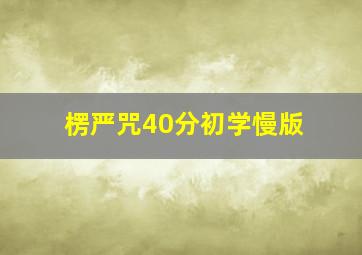 楞严咒40分初学慢版