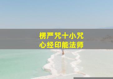 楞严咒十小咒心经印能法师