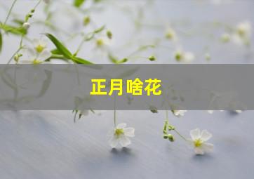 正月啥花