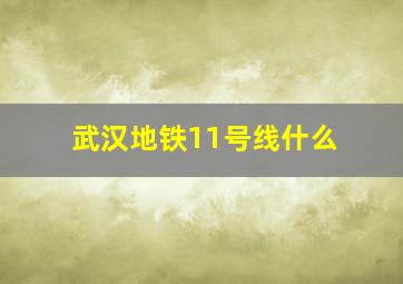 武汉地铁11号线什么