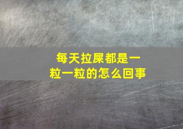 每天拉屎都是一粒一粒的怎么回事