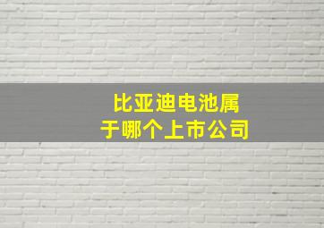 比亚迪电池属于哪个上市公司