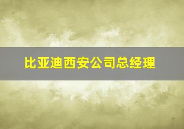 比亚迪西安公司总经理